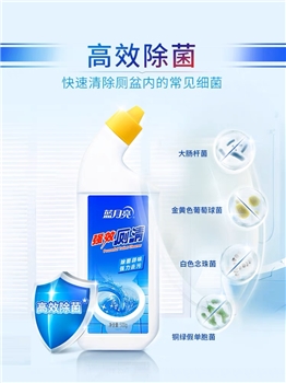 500g蓝月亮强效厕清